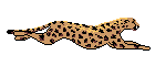 Przyroda