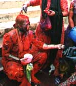Holi