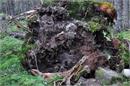 Kasprowy_Wierch_47